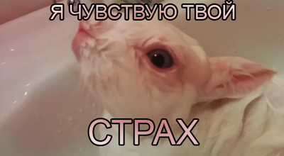 Èëëþñòðàöèÿ ê êîììåíòàðèþ