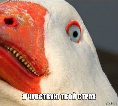 Èëëþñòðàöèÿ ê êîììåíòàðèþ