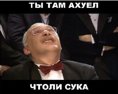 Что где когда реклама кошки. Смотреть фото Что где когда реклама кошки. Смотреть картинку Что где когда реклама кошки. Картинка про Что где когда реклама кошки. Фото Что где когда реклама кошки