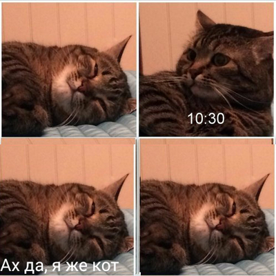 Иллюстрация к комментарию