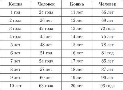 актер и мэйкун кот. 14220941942813. актер и мэйкун кот фото. актер и мэйкун кот-14220941942813. картинка актер и мэйкун кот. картинка 14220941942813.