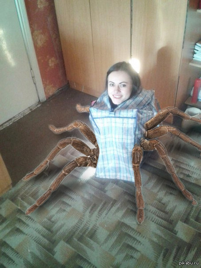 Иллюстрация к комментарию