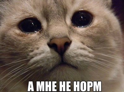 что делать если никто не пришел на день рождения. Смотреть фото что делать если никто не пришел на день рождения. Смотреть картинку что делать если никто не пришел на день рождения. Картинка про что делать если никто не пришел на день рождения. Фото что делать если никто не пришел на день рождения
