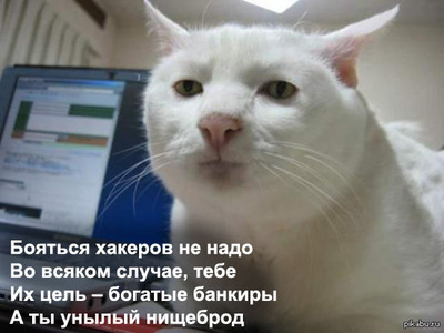 чего нельзя делать в интернете. Смотреть фото чего нельзя делать в интернете. Смотреть картинку чего нельзя делать в интернете. Картинка про чего нельзя делать в интернете. Фото чего нельзя делать в интернете