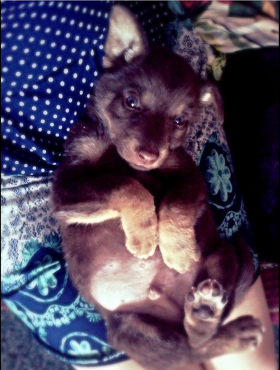 Иллюстрация к комментарию