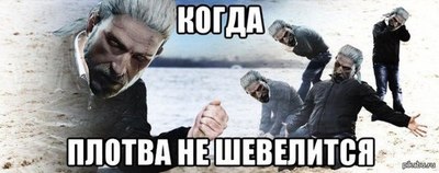 плотва на крыше мем. Смотреть фото плотва на крыше мем. Смотреть картинку плотва на крыше мем. Картинка про плотва на крыше мем. Фото плотва на крыше мем