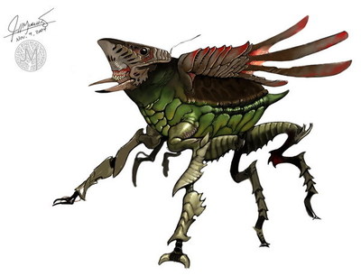 143576217611324133 Муха как паук с крыльями