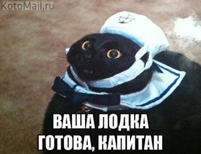 ти баг чайный пакетик