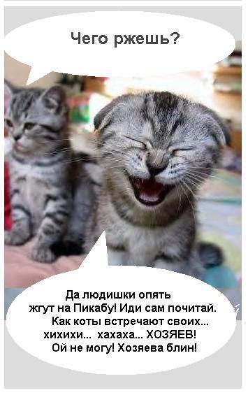 Коты Встречают Новый Год Коты Встречают Новый Год