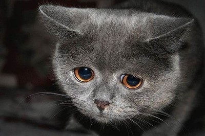 на что клеили обои в ссср какой клей. Смотреть фото на что клеили обои в ссср какой клей. Смотреть картинку на что клеили обои в ссср какой клей. Картинка про на что клеили обои в ссср какой клей. Фото на что клеили обои в ссср какой клей