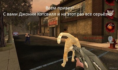 Как сделать кота пьяным