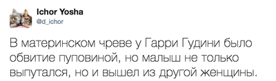 баджяжя гудини что это. Смотреть фото баджяжя гудини что это. Смотреть картинку баджяжя гудини что это. Картинка про баджяжя гудини что это. Фото баджяжя гудини что это