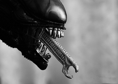 1496734826110563120 Бэрримор что за шум