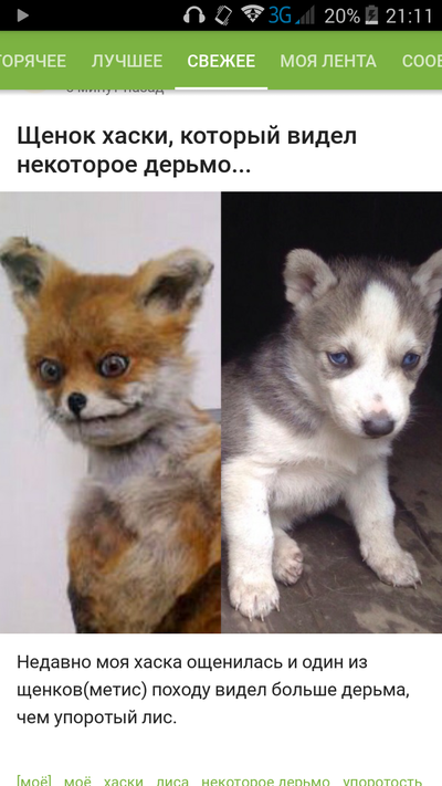 Иллюстрация к комментарию