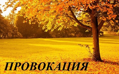 коды лазерных принтеров на отпечатках