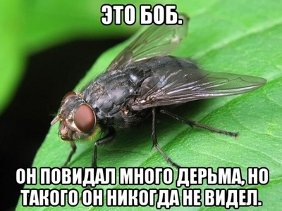 что такое синк эбаут ит. Смотреть фото что такое синк эбаут ит. Смотреть картинку что такое синк эбаут ит. Картинка про что такое синк эбаут ит. Фото что такое синк эбаут ит