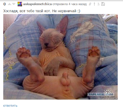 Иллюстрация к комментарию