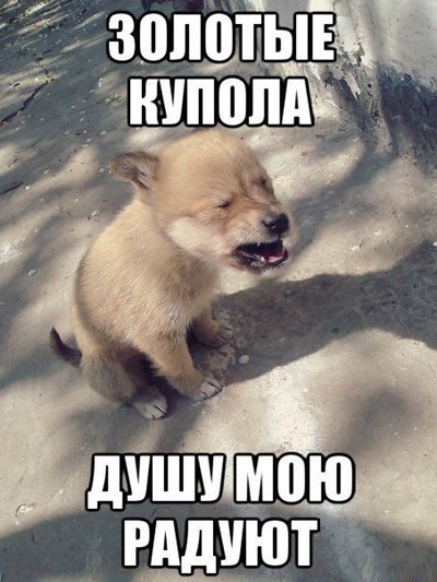 Что у вас тут происходит мужик подскользнулся в магазине. Смотреть фото Что у вас тут происходит мужик подскользнулся в магазине. Смотреть картинку Что у вас тут происходит мужик подскользнулся в магазине. Картинка про Что у вас тут происходит мужик подскользнулся в магазине. Фото Что у вас тут происходит мужик подскользнулся в магазине