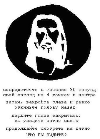 фиолетовый в негативе какой цвет. 1505564582116865932. фиолетовый в негативе какой цвет фото. фиолетовый в негативе какой цвет-1505564582116865932. картинка фиолетовый в негативе какой цвет. картинка 1505564582116865932