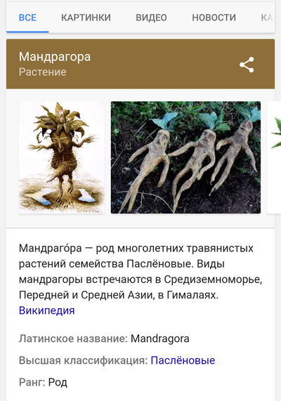 Что такое лабиринт страха. Смотреть фото Что такое лабиринт страха. Смотреть картинку Что такое лабиринт страха. Картинка про Что такое лабиринт страха. Фото Что такое лабиринт страха