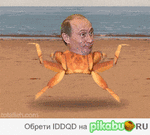 Предпросмотр