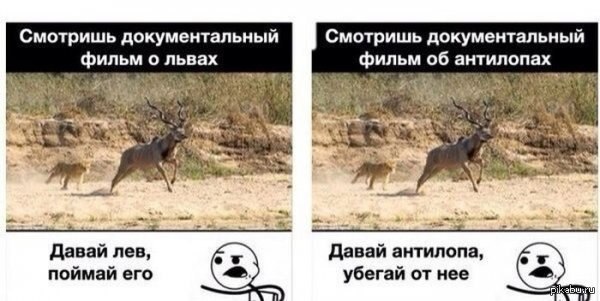 Так оно и есть )))