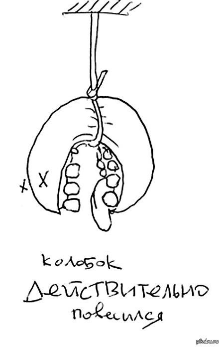 Колобок повесился картинка