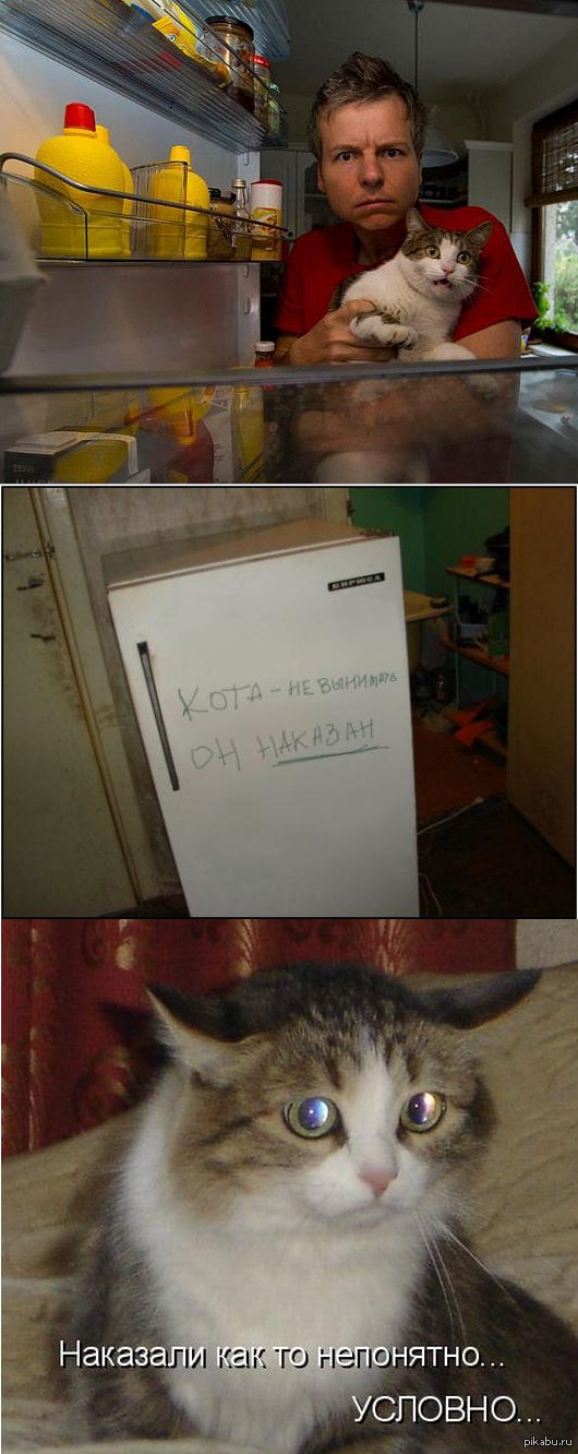 ���� ���� �� ��������.