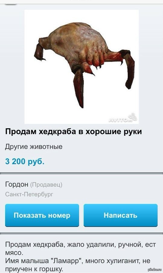 � ������� "��������" �� Avito ������� ��������, �������. ���� ����� :)))