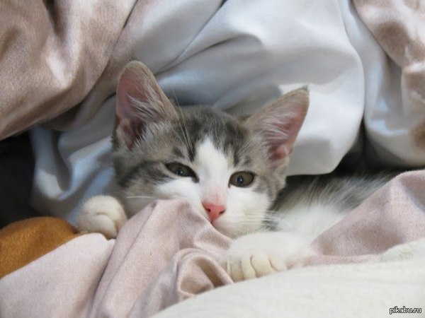 ��� �������� ���� :)