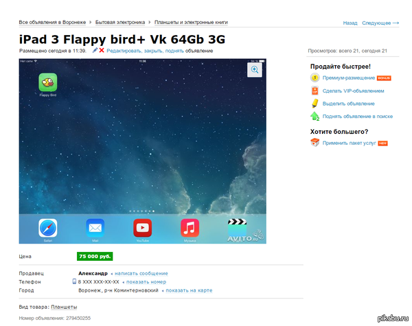 iPad 3 + Flappy Bird = 75000       