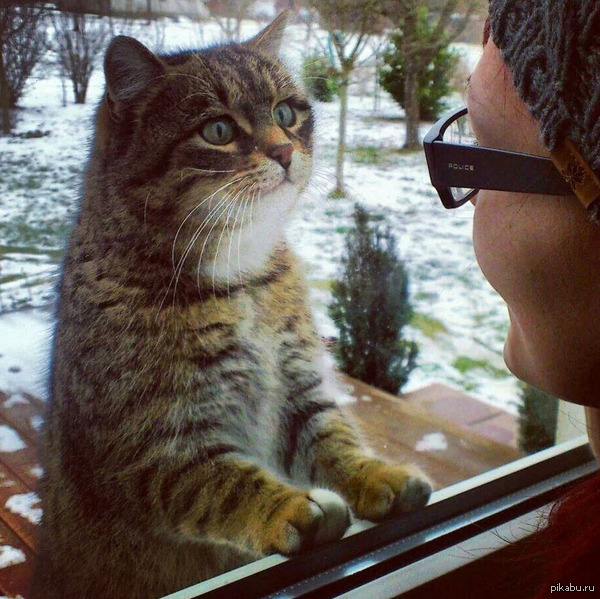 &quot;, ?     ?&quot;