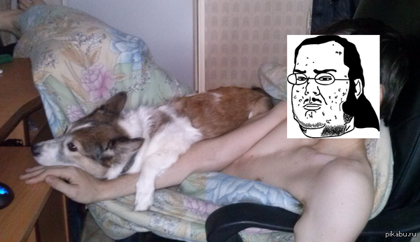 ����������