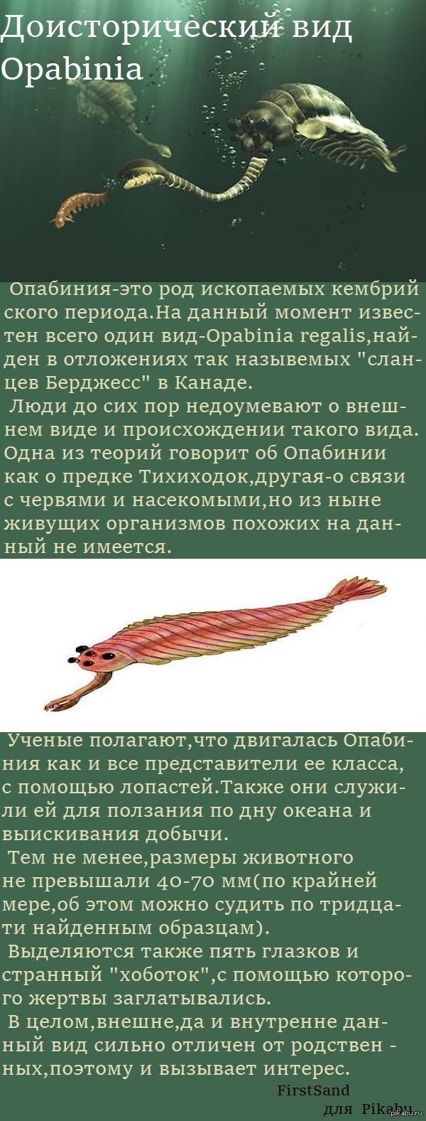 Интересный доисторический вид