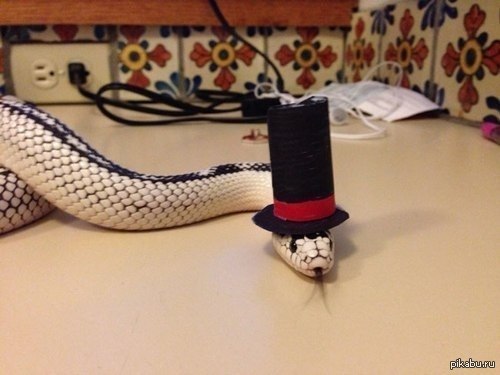 ������ ���� � �����