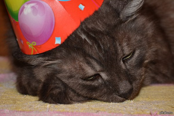 ������ ����� �������� ���� ����� ������