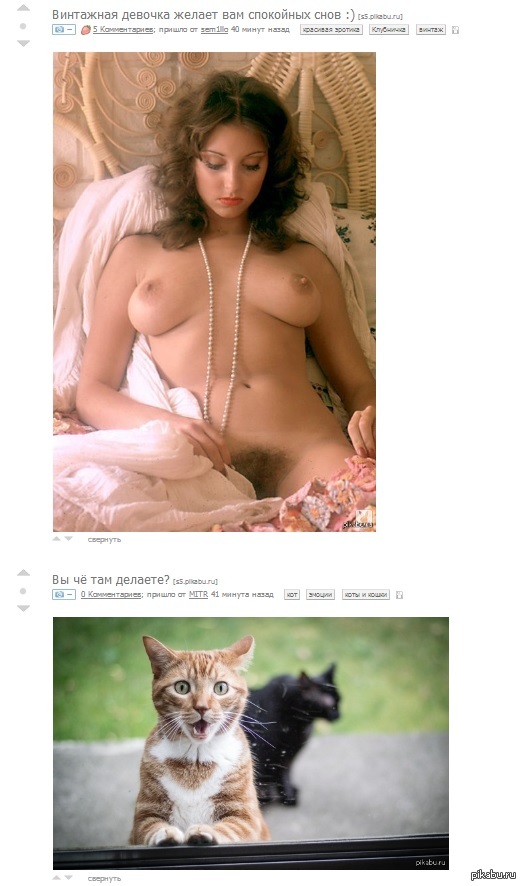 Coincided - NSFW, Matching posts, Boobs, cat