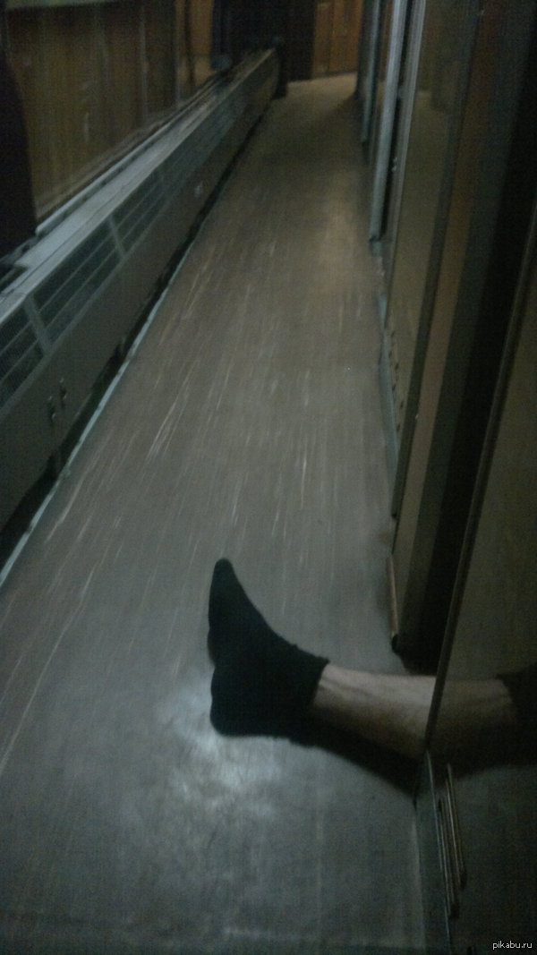 Терморегуляция