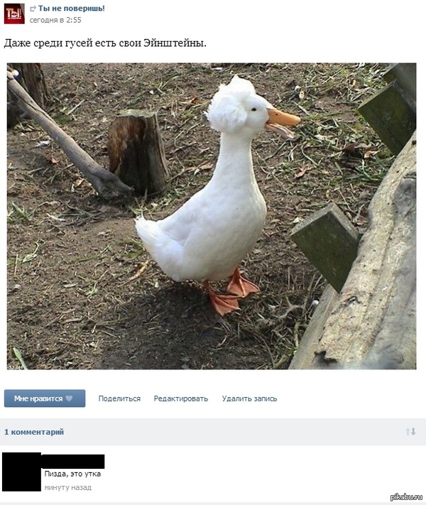 ���� - ����