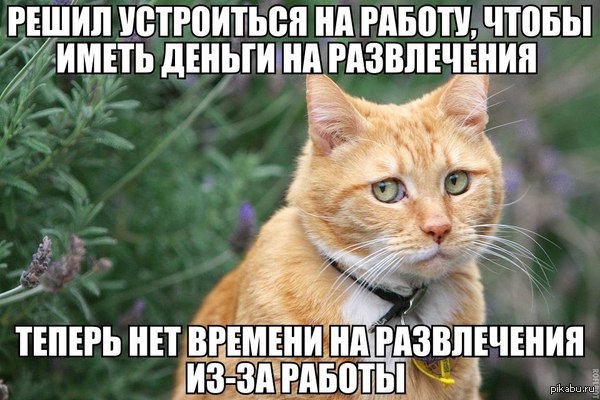 Решил устроиться на работу | Пикабу