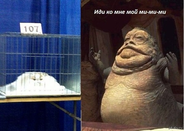 ��-��-��:)