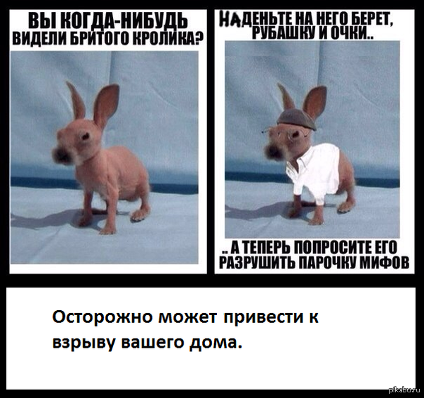 � ���� ������ ���������� ����� �����?