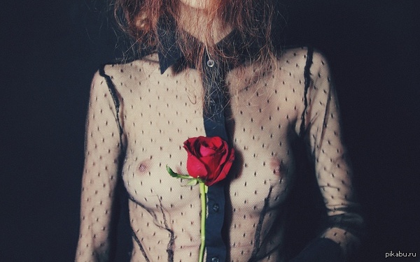 Red Rose. - NSFW, the Rose, Girls, Boobs, Blouse