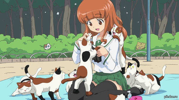 ���� �����, ������� � ����� �����)