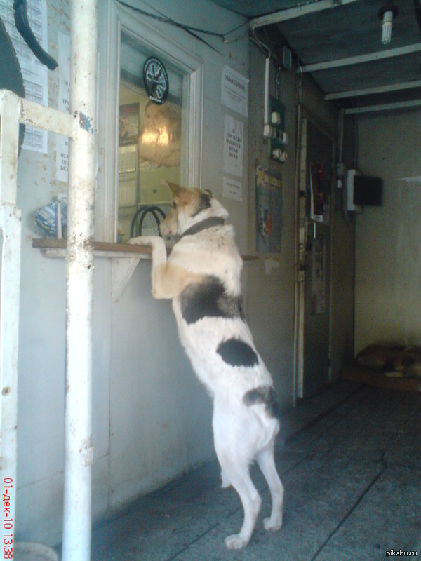 ����� �������...