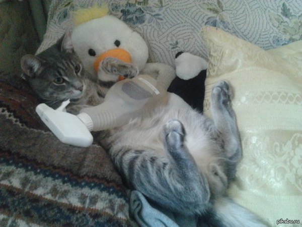 ��� ��� �� ���. � ����� http://pikabu.ru/story/_1997471