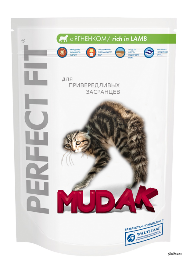 ����� ������������ �������������