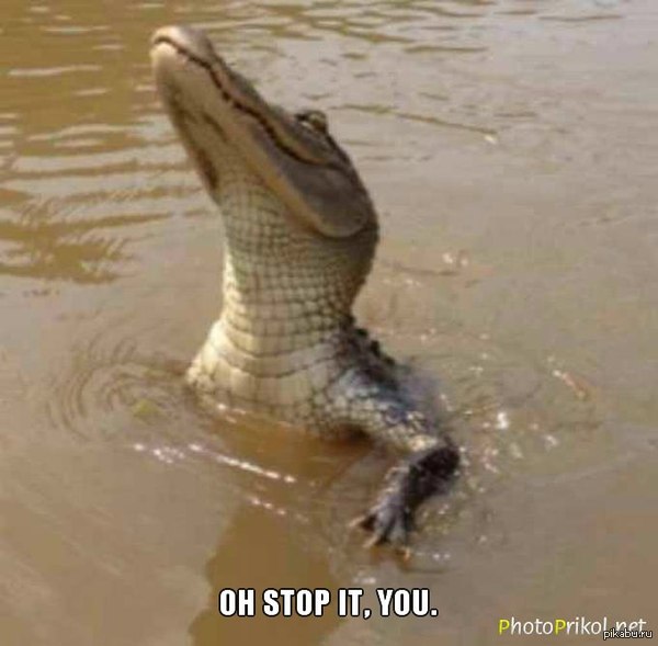 ��, �������� :)