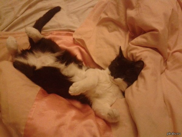 ����� ������� ������!