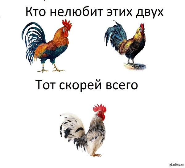 �����